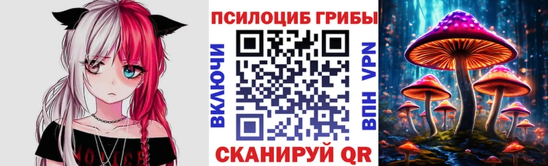 Галлюциногенные грибы Psilocybine cubensis  где можно купить наркотик  kraken ССЫЛКА  Аксай 