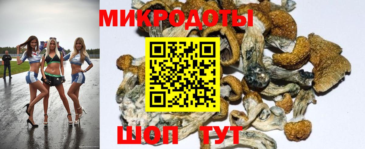 Псилоцибиновые грибы MAGIC MUSHROOMS Аксай